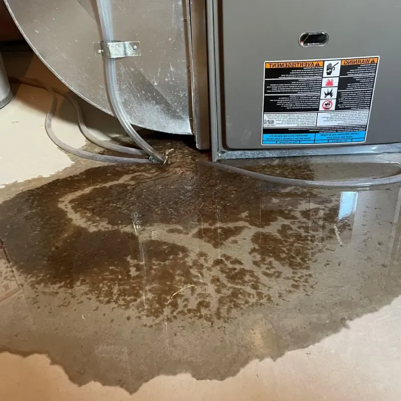 Pipe Burst and Leak Restoration in Magnolia, MS